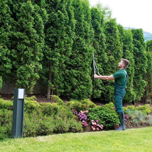 man cutting tree leaves