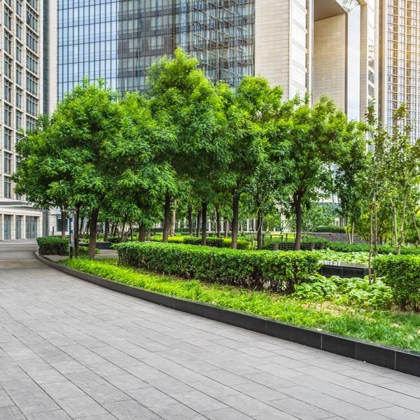 commercial outdoor area